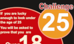 Challenge 25 -  training and test purchasing in age related sales